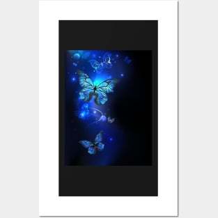 Morpho Butterfly in the Black Background Posters and Art